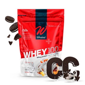 whey 100 1kg 