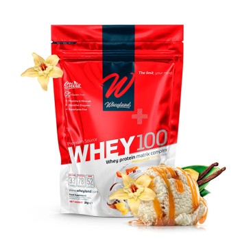 whey 100 500g 