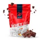 Whey 100 500G