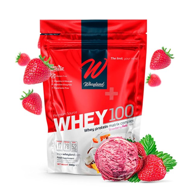 Whey 100 500G
