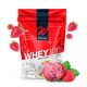 Whey 100 500G