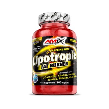 Lipotropic Fat Burner, 100kap