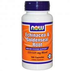 Echinacea koren, 100kap