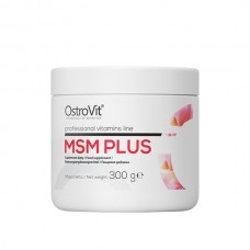 MSM Plus Professional Vitamins Line, 300g