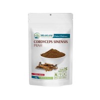Cordyceps Sinensis prah, 50g Cordyceps Sinensis prah, 50g