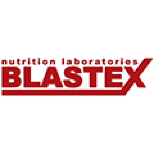 Blastex